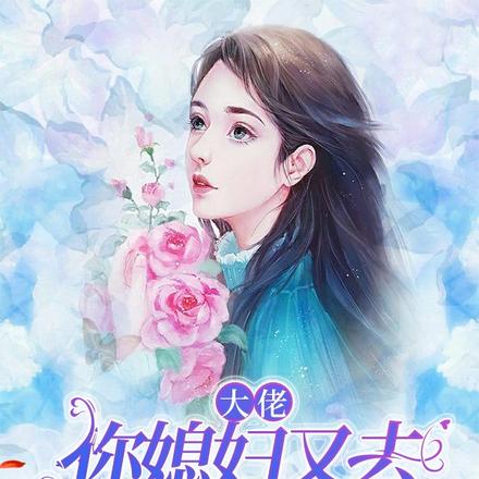 大佬,你媳妇又去捡破烂了