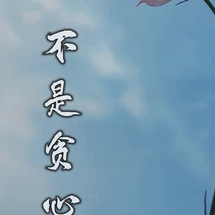 不是贪心